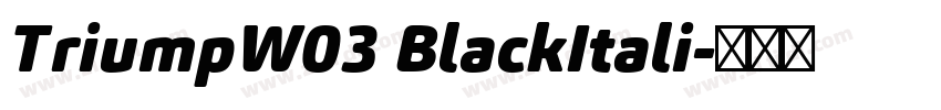 TriumpW03 BlackItali字体转换